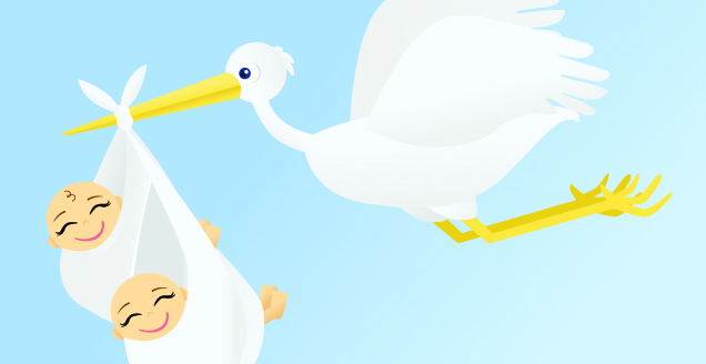 Twin-Babies-Stork