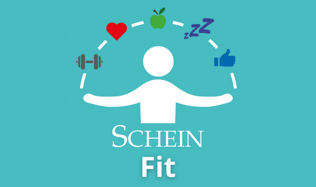 Schein Fit intranet logo