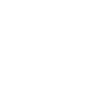 Team Schein UK